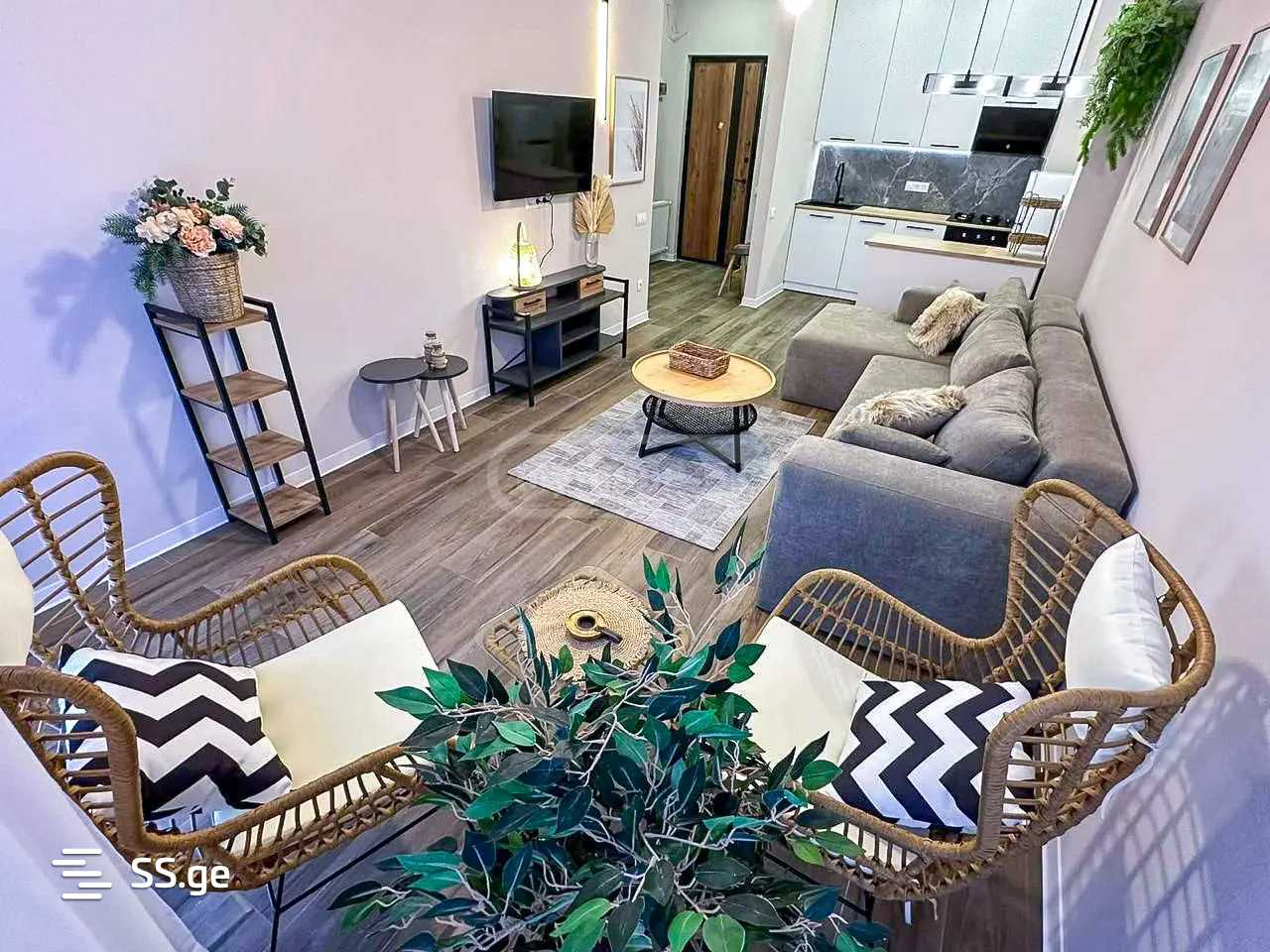 Giorgi Danelia st. - 2 rooms