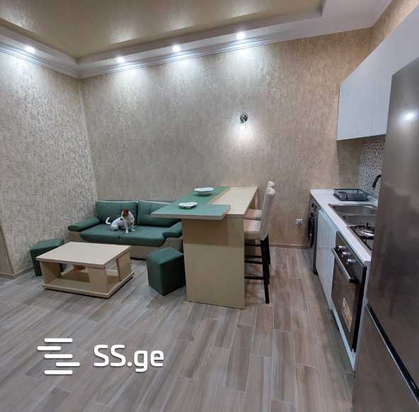 Debi Ishxnelebi st. - 2 rooms