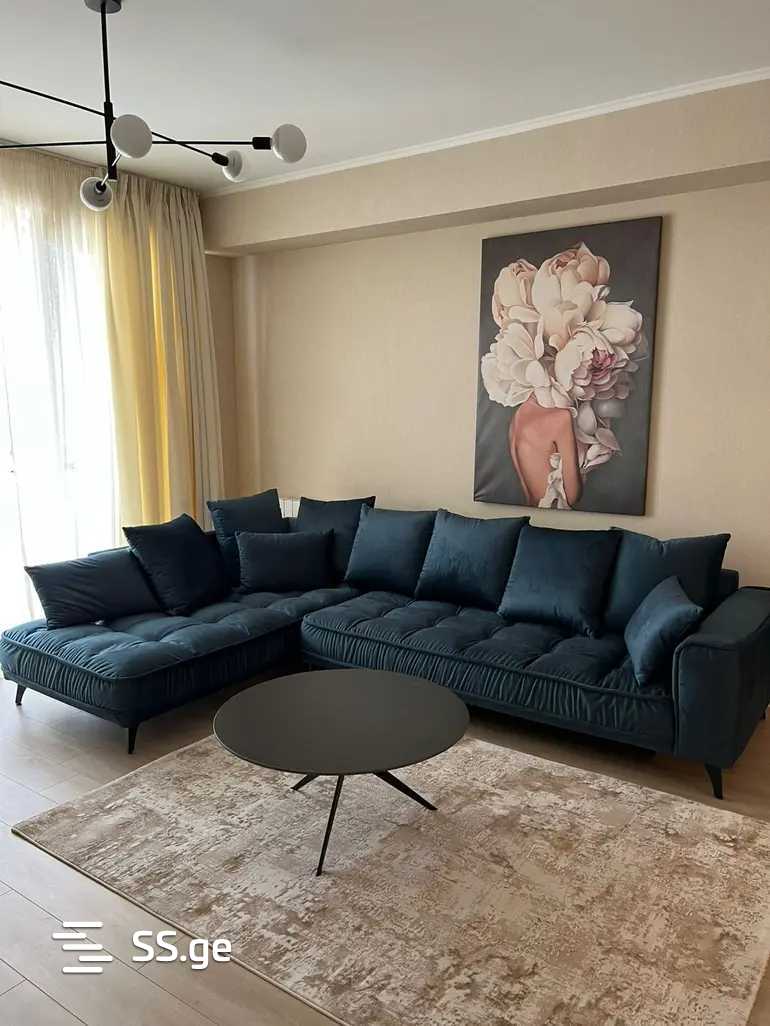 i. chavchavadze avenue 37 - 2 rooms