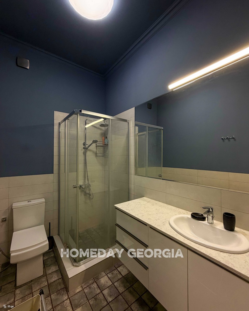 agmashenebeli ave - 4 rooms