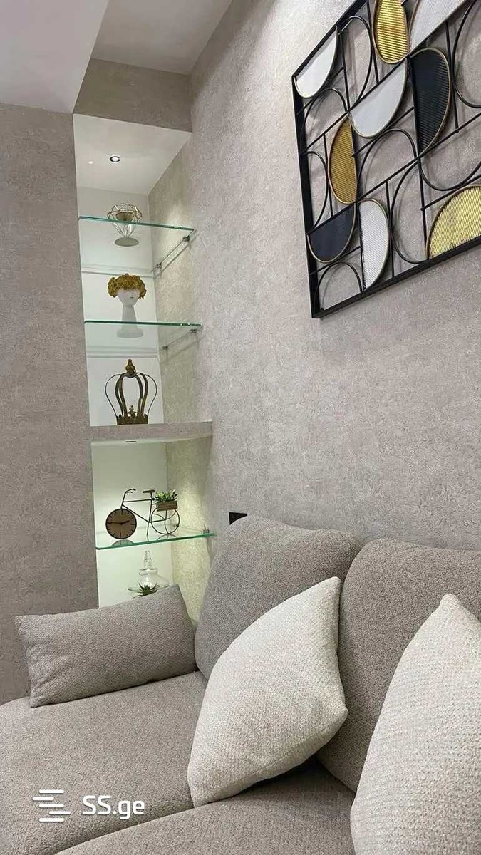 Ts. Dadiani st. (nadzaladevi) 2 - 3 rooms