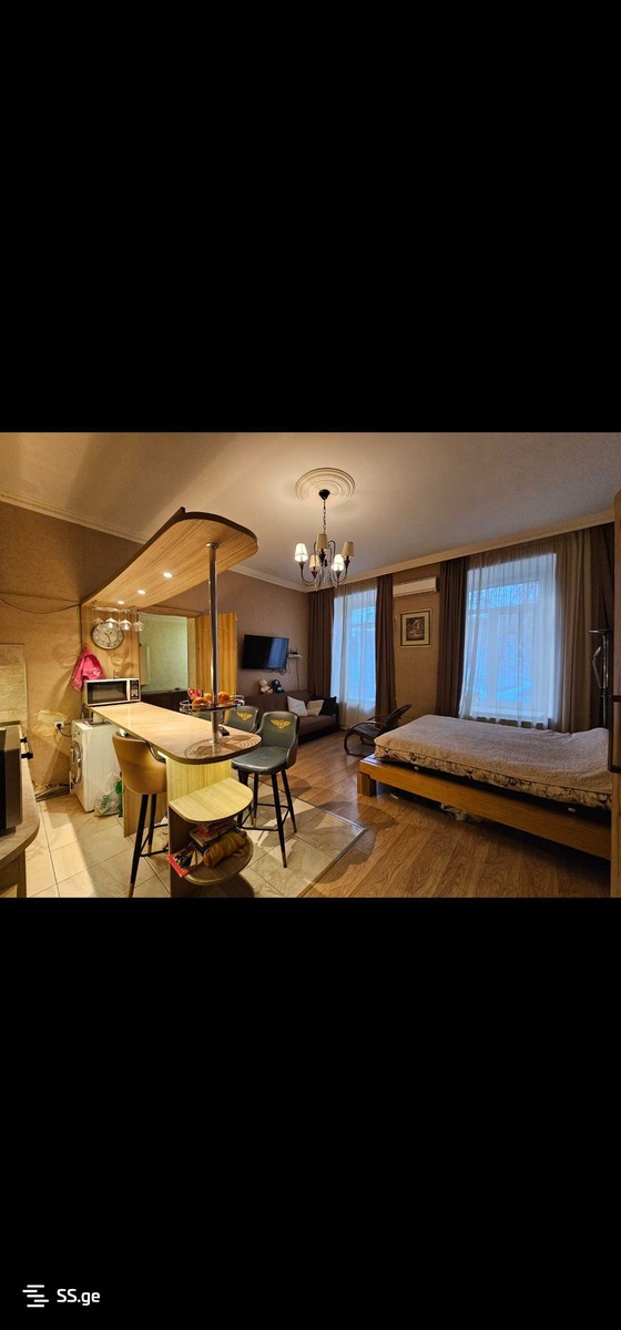 janashia st. 0 - 1 rooms