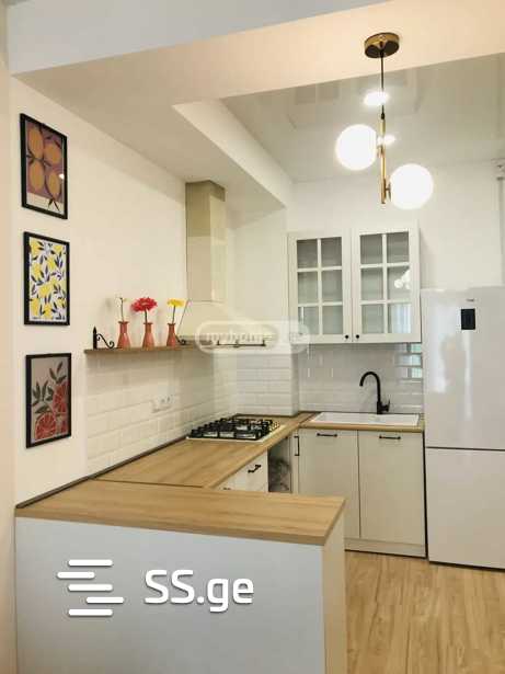 Abashidze-Orbeliani st. - 2 rooms