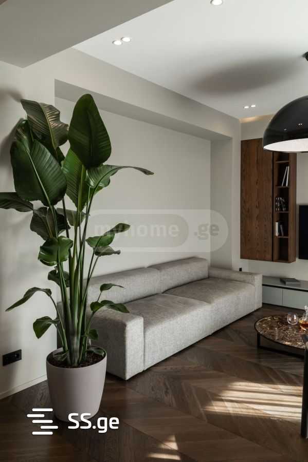 kipshidze st. - 3 rooms