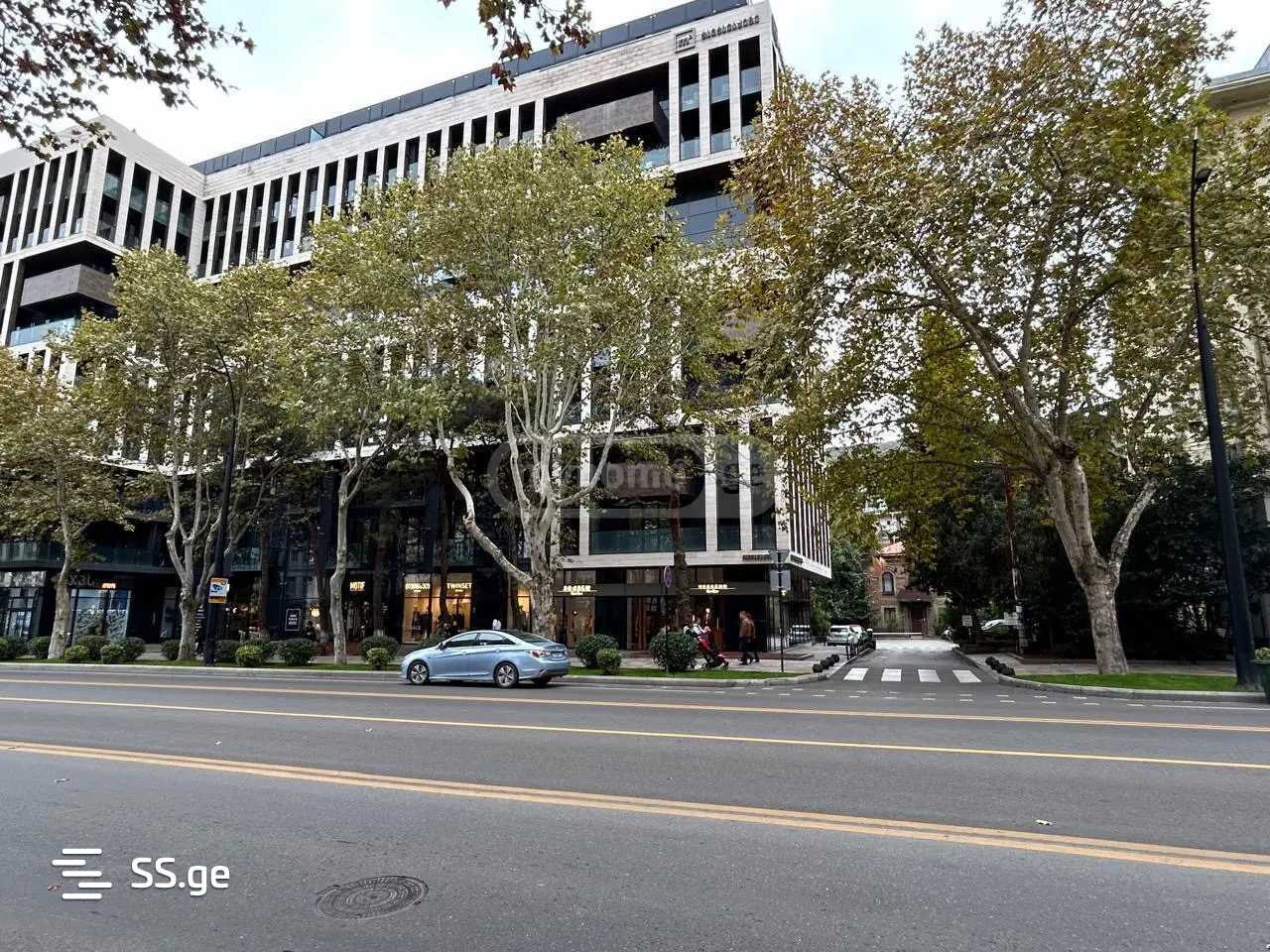 i. chavchavadze avenue 50 - 3 rooms