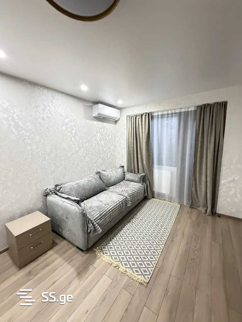 Ts. Dadiani st. (nadzaladevi) - 2 rooms