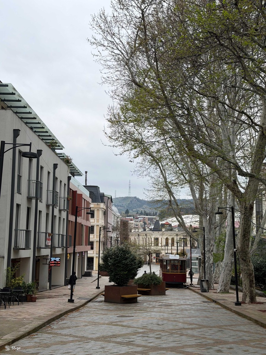 purceladze st. - 5 rooms