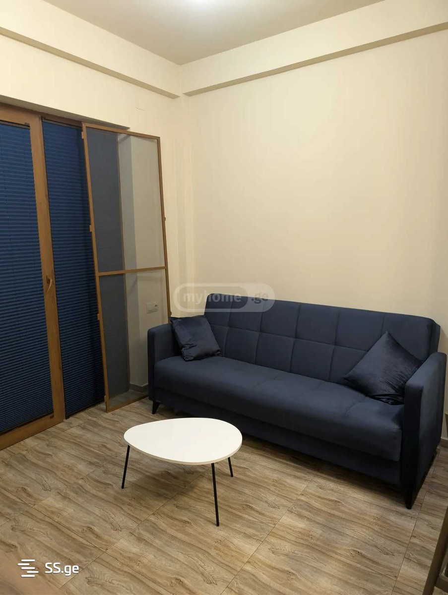 Ts. Dadiani st. (nadzaladevi) - 2 rooms