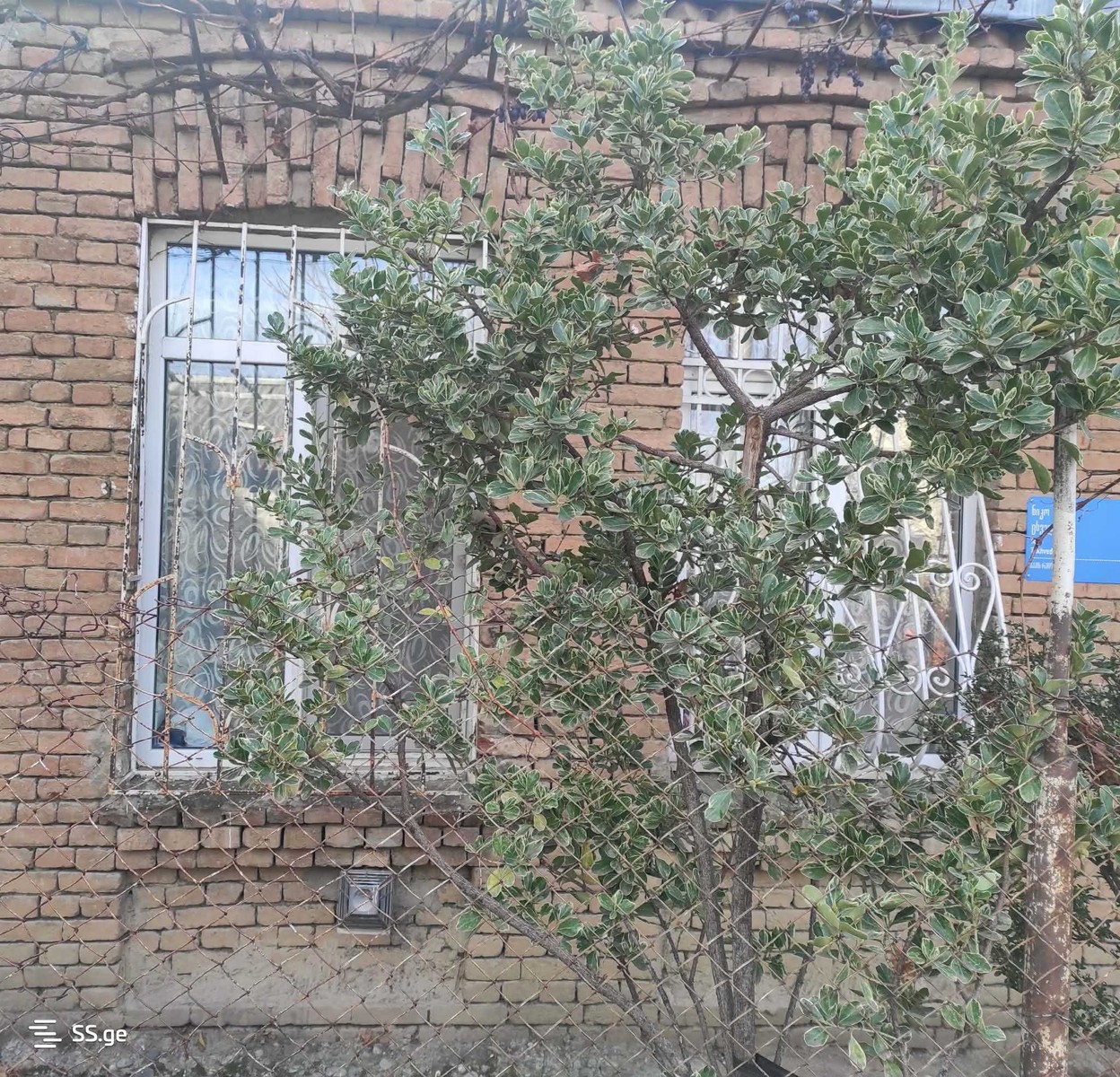 ckhvedadze st. 4 - 1 rooms