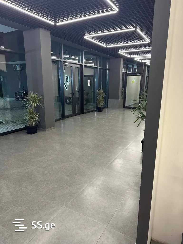 agmashenebeli alley - 3 rooms