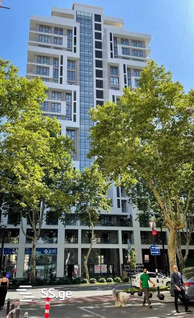 i. chavchavadze avenue 30 - 3 rooms