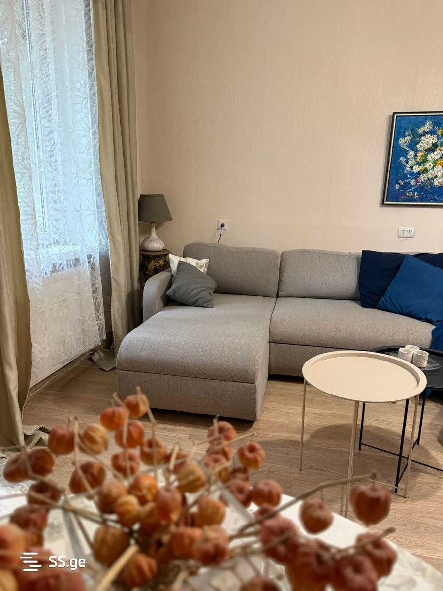 vaja-pshavela avenue - 2 rooms