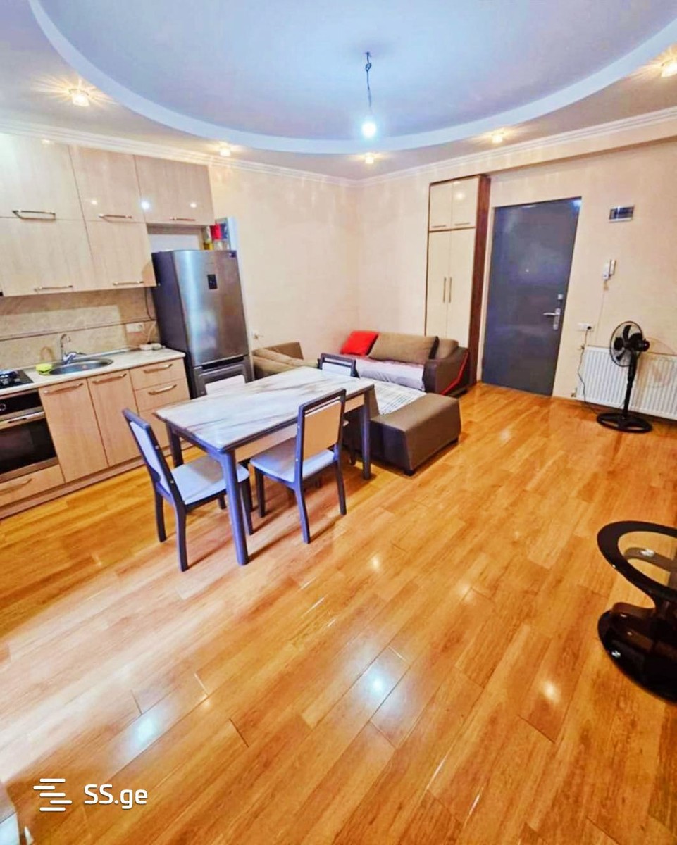 Ts. Dadiani st. (nadzaladevi) - 2 rooms