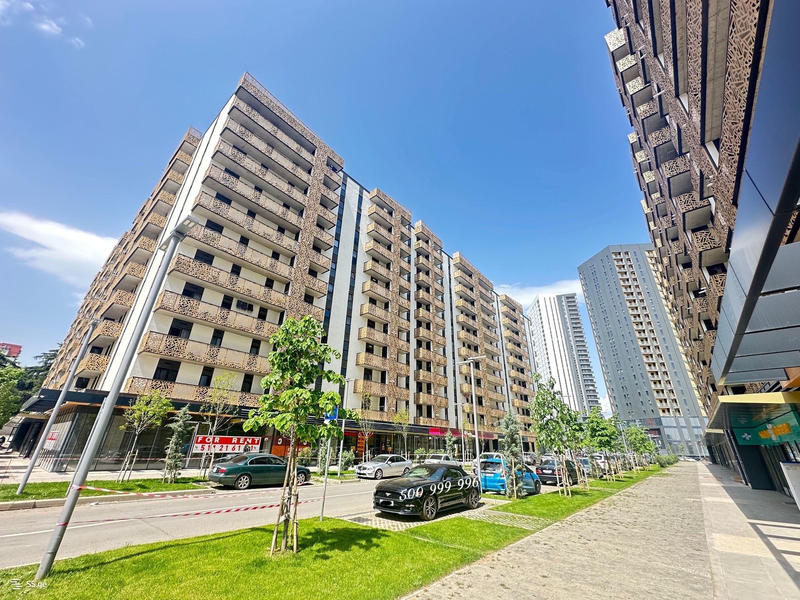 Marshal Archil Gelovani Ave. M3 - 2 rooms