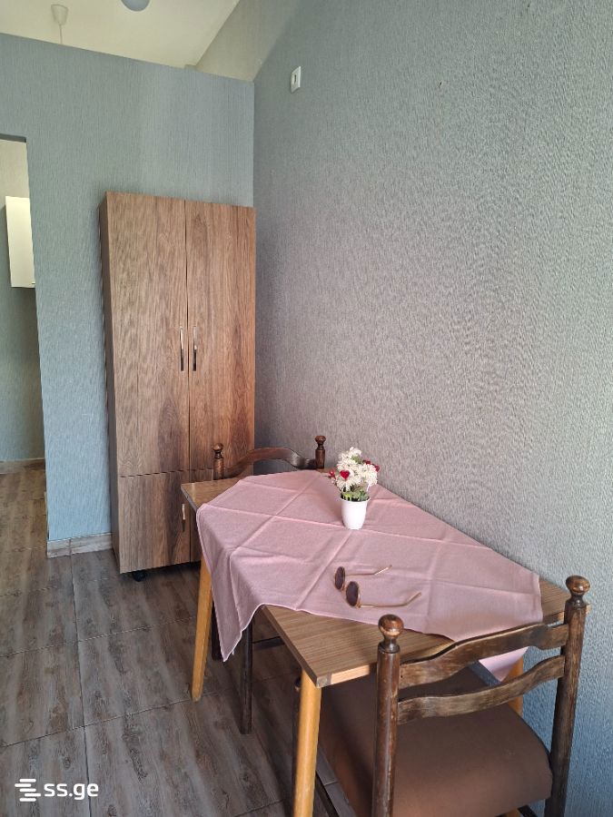 Beri Gabriel Salosi Ave. მე-4შესახვევი N3 - 1 rooms