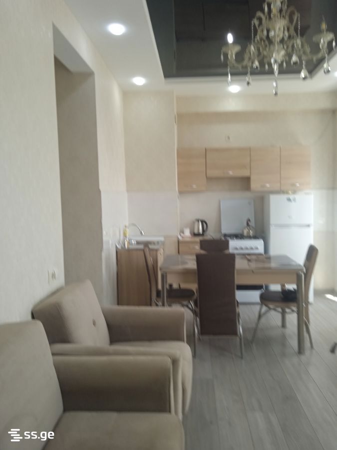 Liza Nakashidze-Bolkvadze st. 11 - 2 rooms