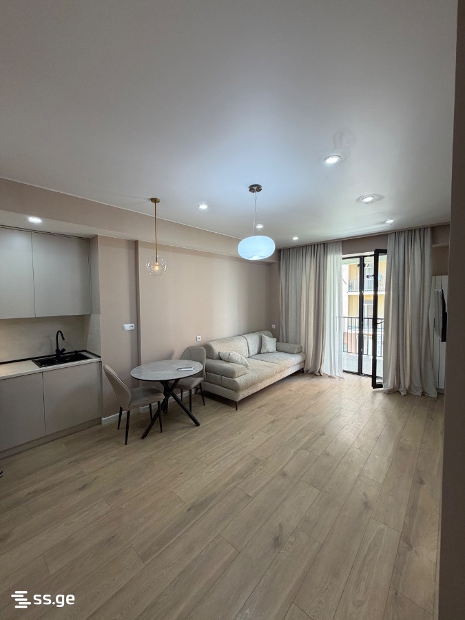 Zaldastanishvili st. 24 - 2 rooms