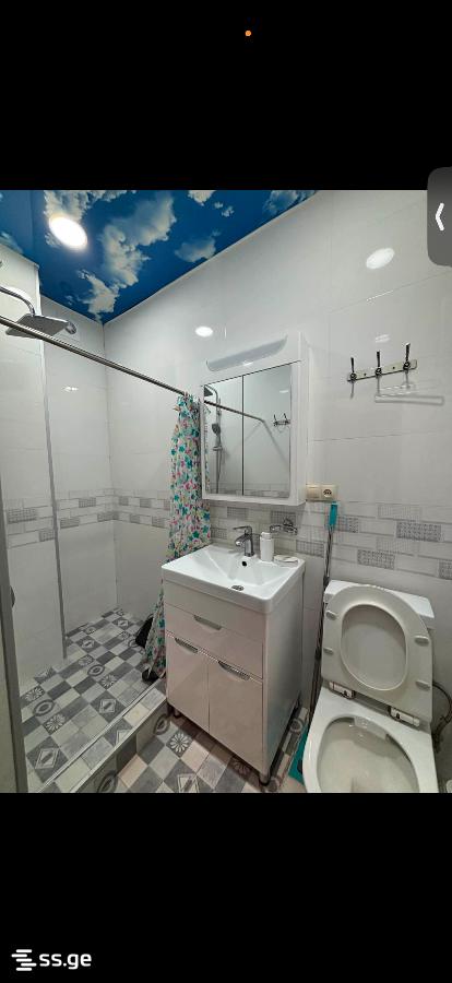 Archil Mephe st. 25b - 2 rooms
