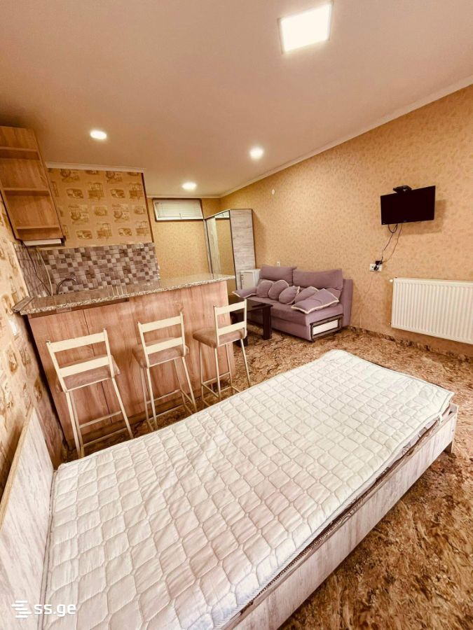 Mirian Mephe st. 166 - 1 rooms