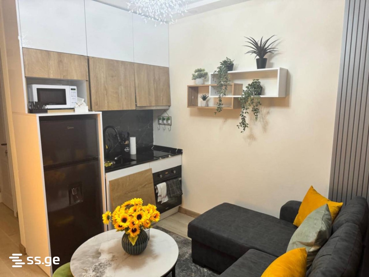 GR. Lortkipanidze st. 24 - 1 rooms