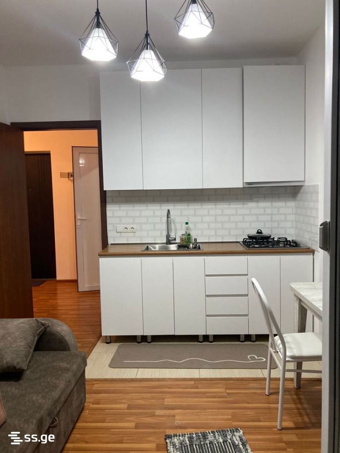 Ts. Dadiani st. (nadzaladevi) - 2 rooms