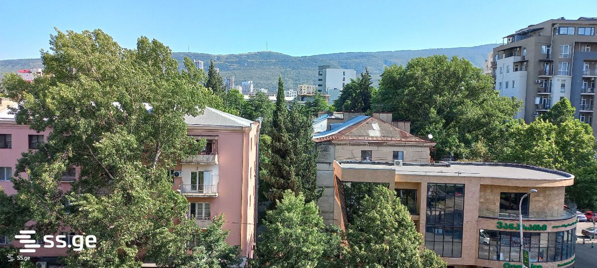 vaja-pshavela avenue - 1 rooms