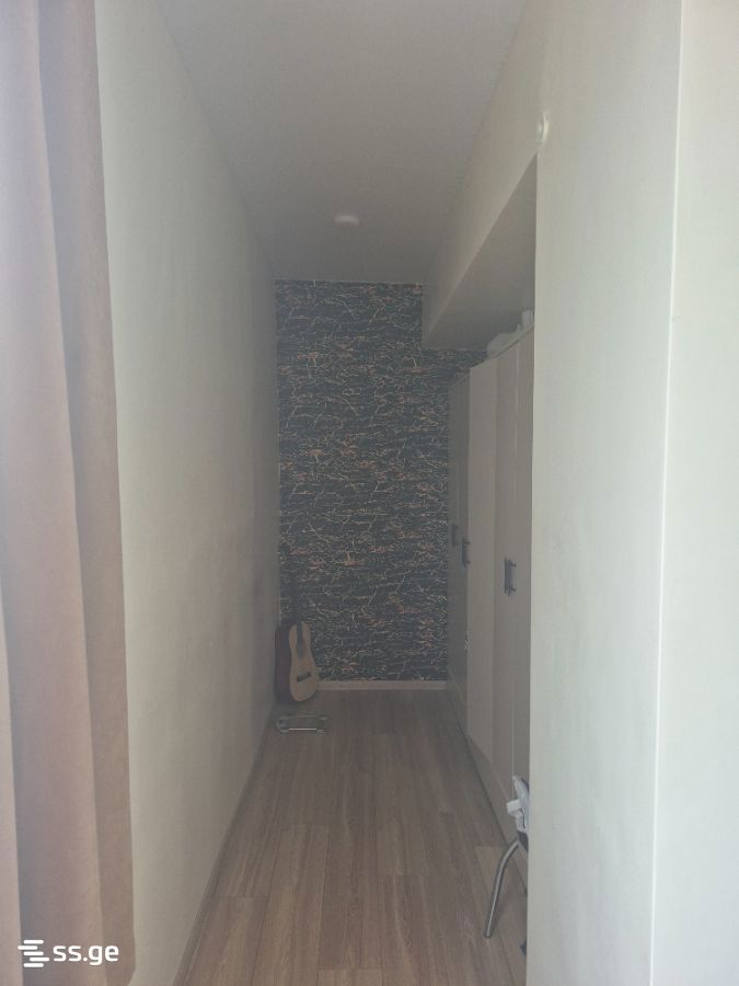 Ts. Dadiani st. (nadzaladevi) 593284823 - 2 rooms
