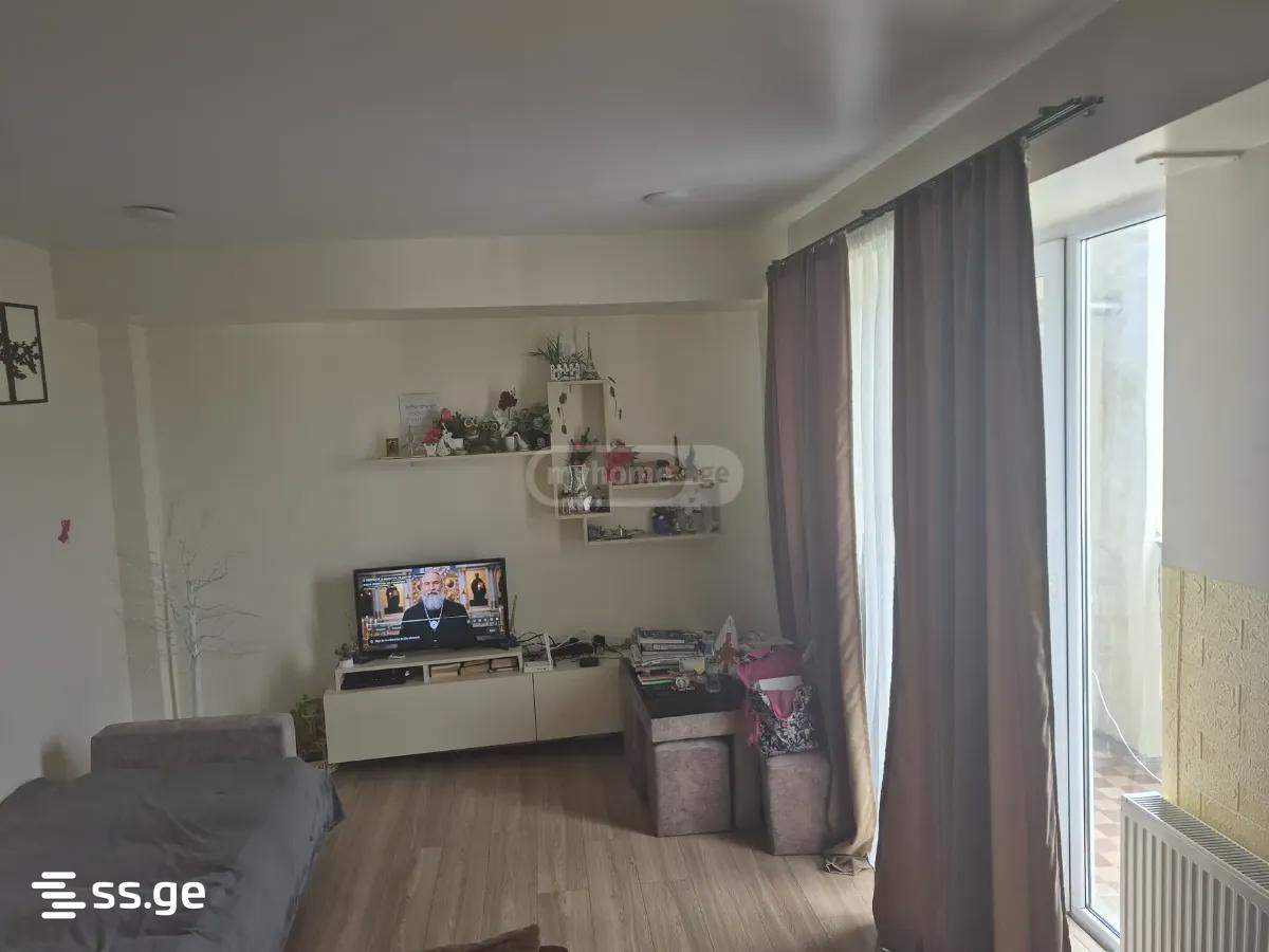 Ts. Dadiani st. (nadzaladevi) 0 - 2 rooms