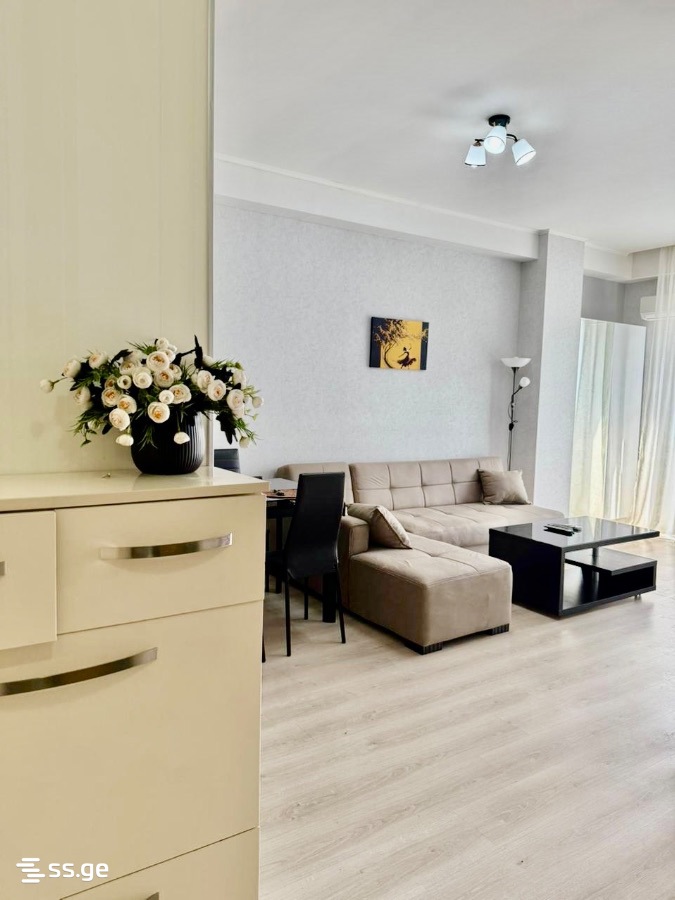 Vepkhistkaosnis st. 54 - 2 rooms