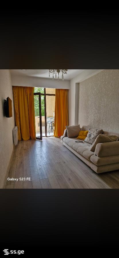 parnavaz mepe avenue 34 - 2 rooms