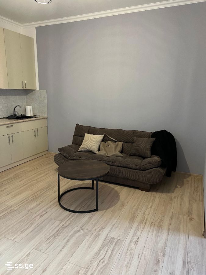 Burdzgla st. - 2 rooms