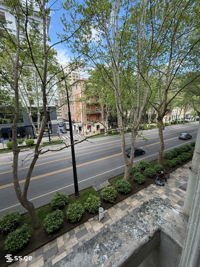 i. chavchavadze avenue 46 - 4 rooms
