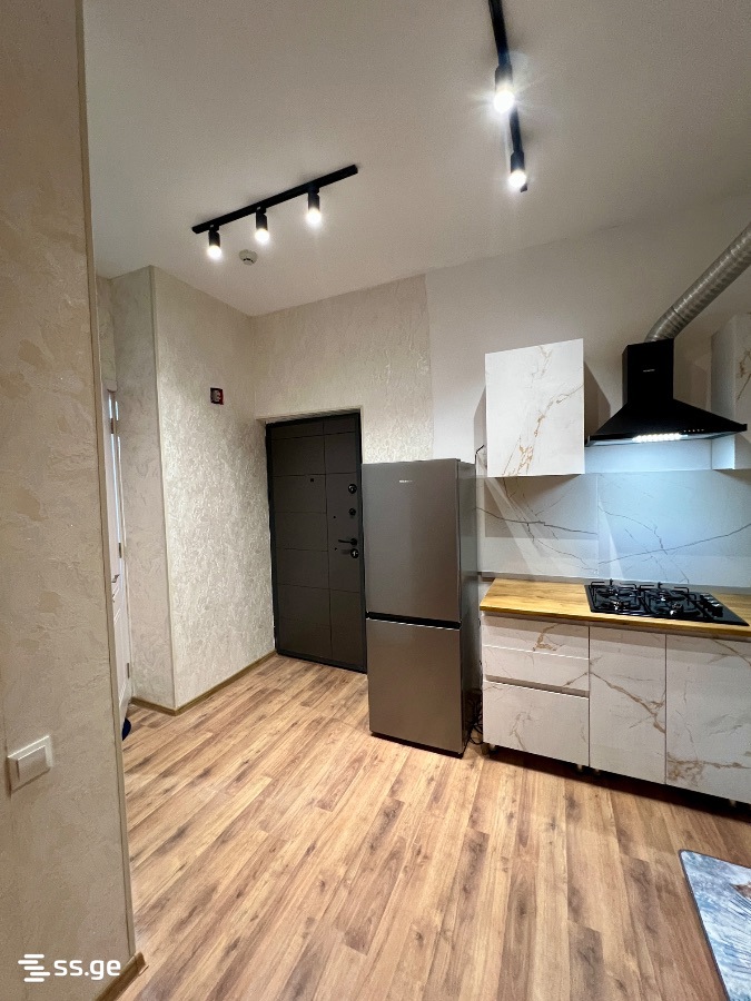 Beri Gabriel Salosi Ave. 57ა - 2 rooms