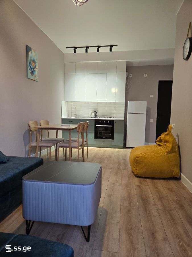 mirckhulava st. 9 - 2 rooms
