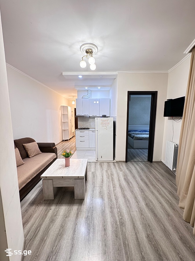 Z. Gorgiladze Street 98 - 2 rooms