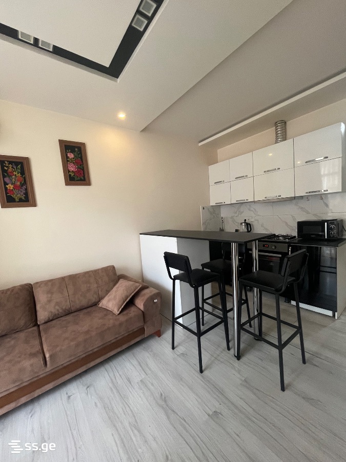 Sh. Inasaridze St. 16а - 2 rooms