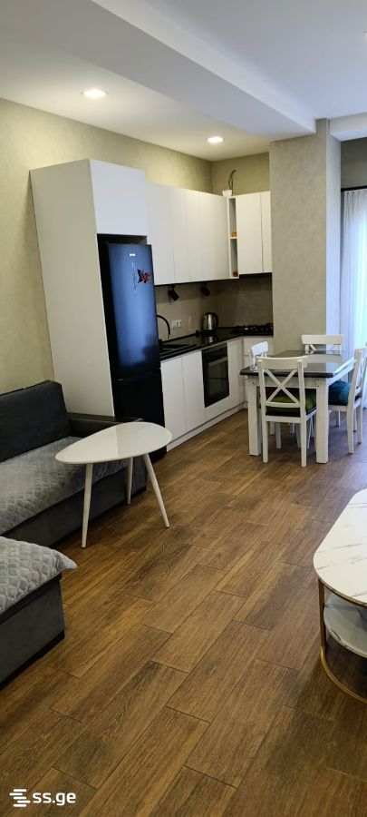 Ts. Dadiani st. (nadzaladevi) 110/112 - 2 rooms