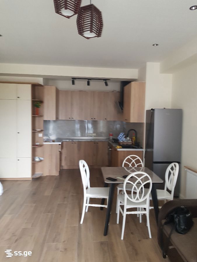 Ts. Dadiani st. (nadzaladevi) 35 - 2 rooms