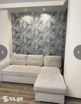 mirotadze st. - 2 rooms
