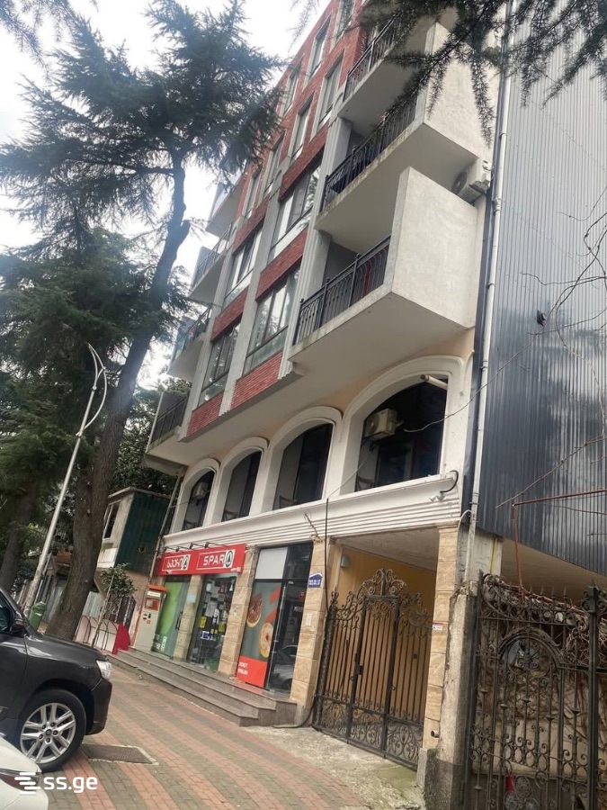 Vazha-Pshavela st. 50 - 1 rooms