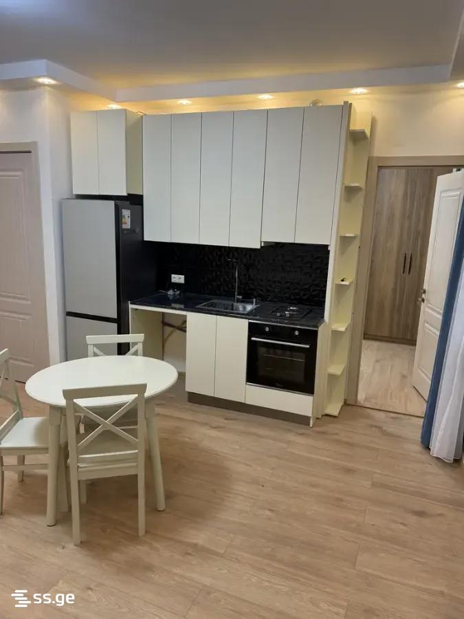 Ts. Dadiani st. (nadzaladevi) - 2 rooms