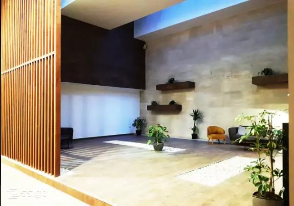 s. cincadze st - 3 rooms