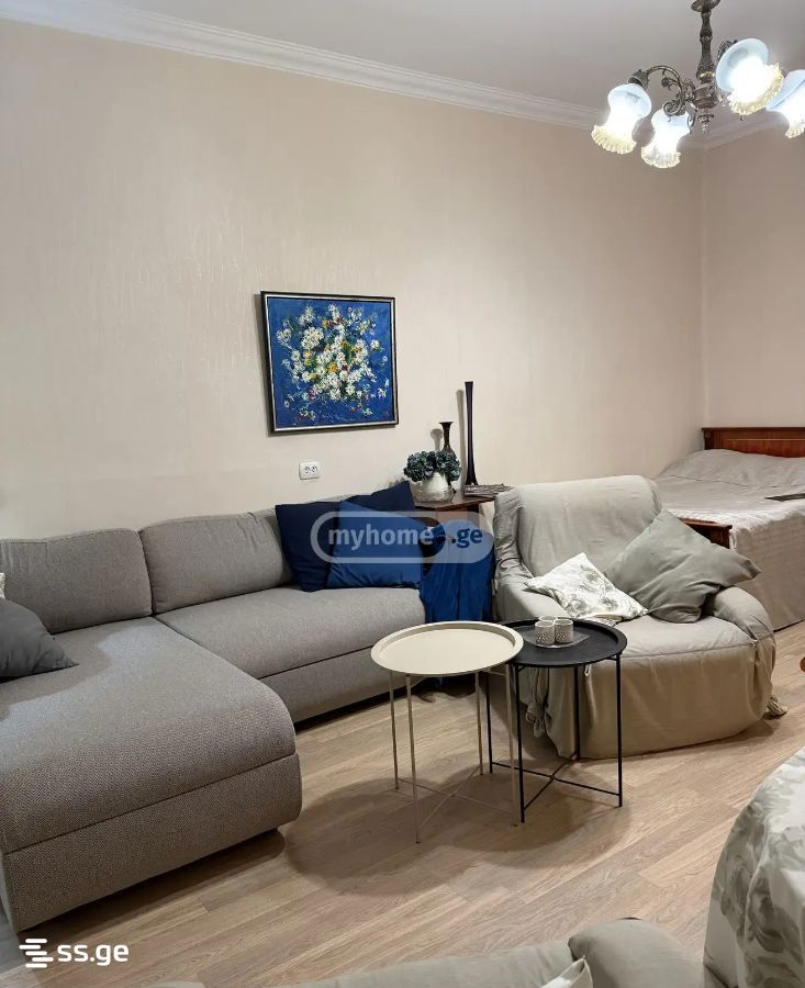 vaja-pshavela avenue - 2 rooms