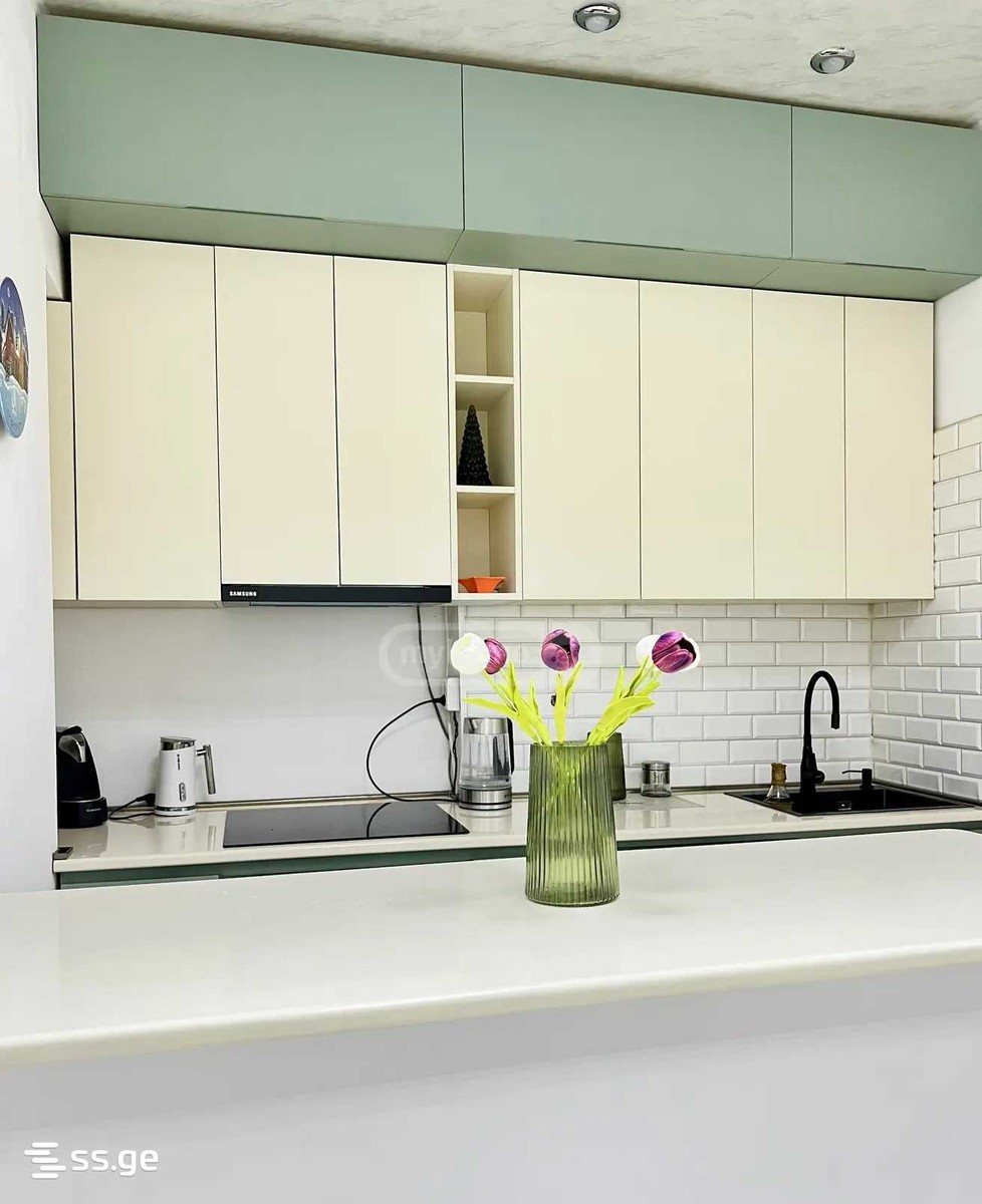 tamar mepe ave 19 - 2 rooms