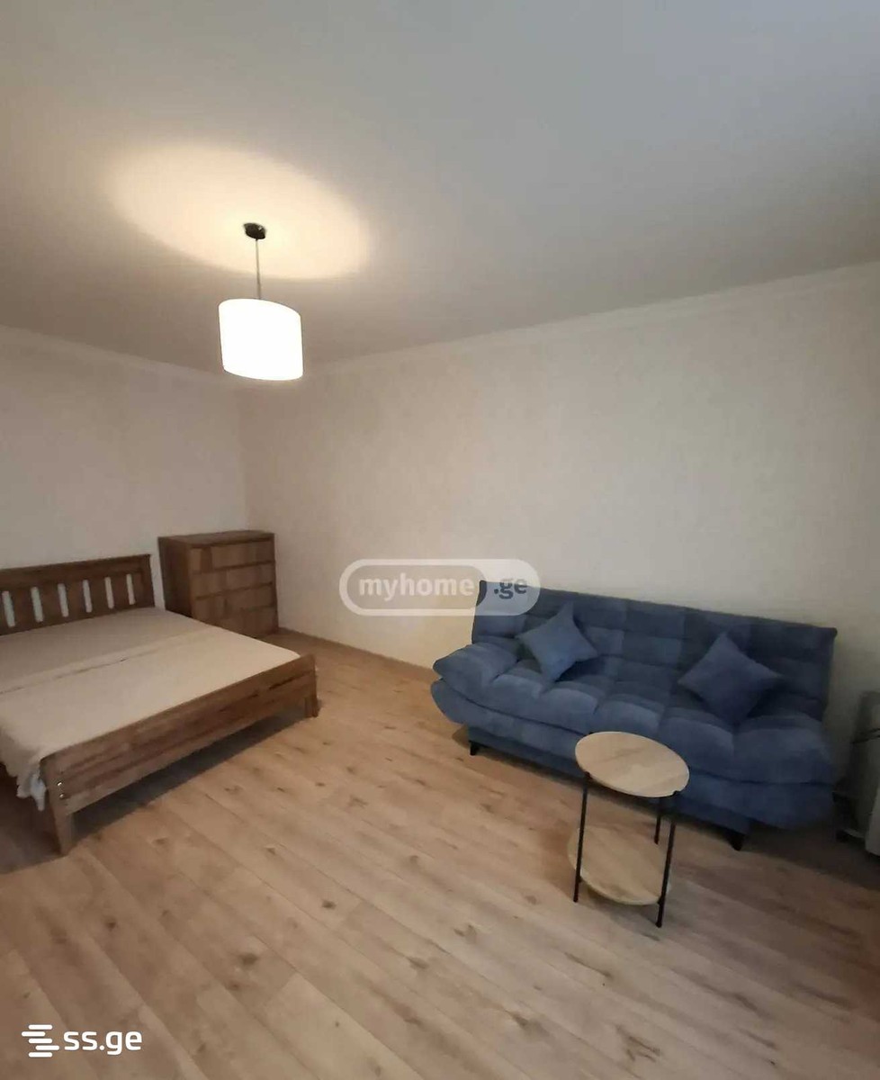 vaja-pshavela avenue - 1 rooms