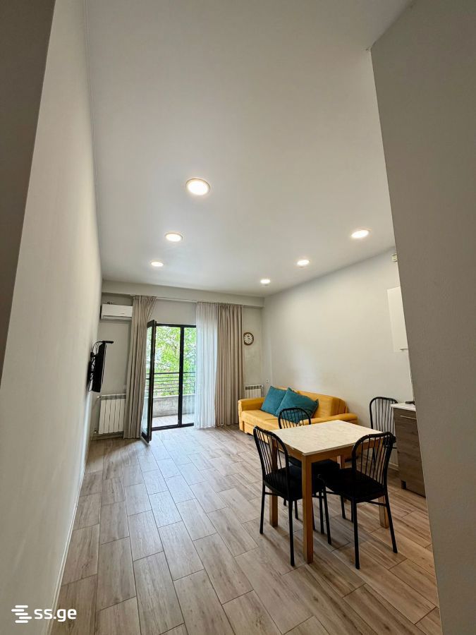 Ts. Dadiani st. (nadzaladevi) - 2 rooms