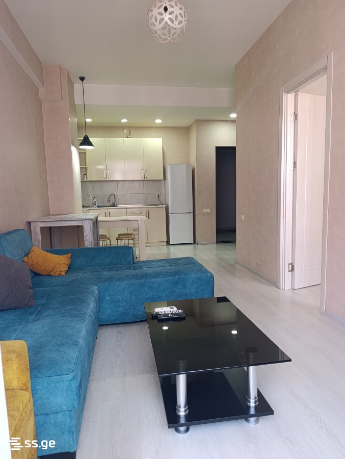 Gobronidze st. 7 - 2 rooms