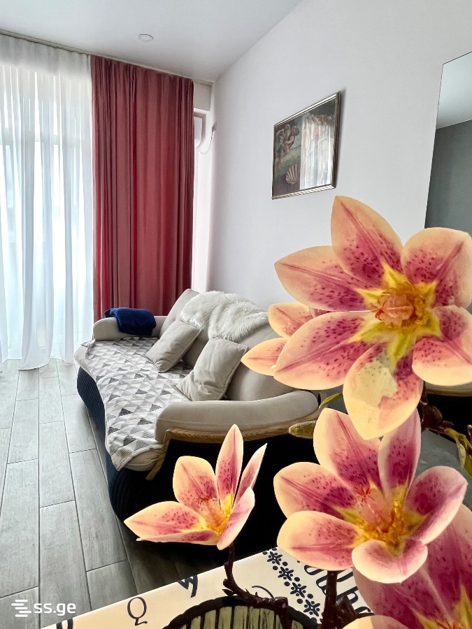Mirian Mephe st. 42 - 2 rooms