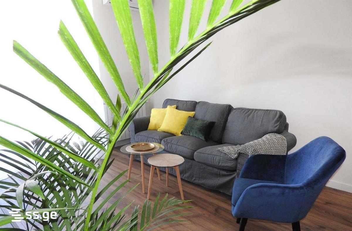 i. chavchavadze avenue 49 - 2 rooms