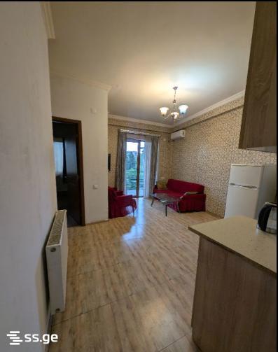 Ts. Dadiani st. (nadzaladevi) 22/24 - 2 rooms